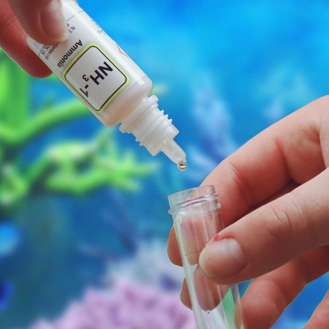 Marine Ammonia Test Lifestyle 1